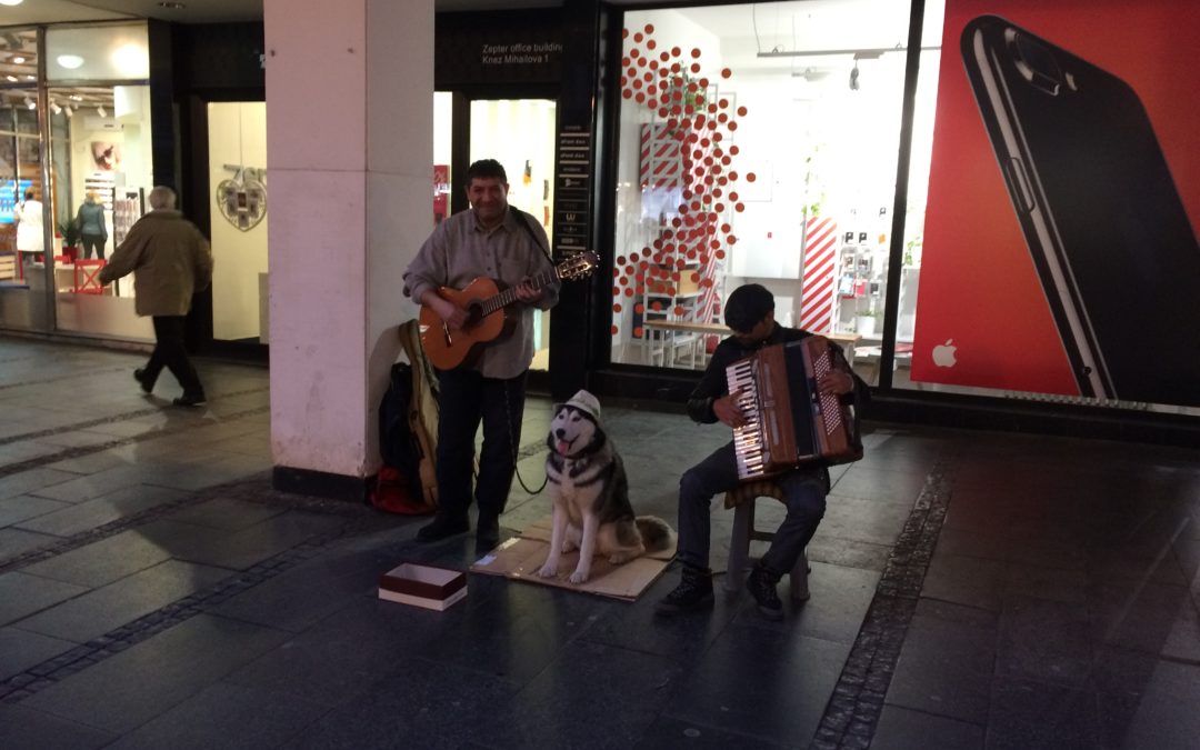Journey from Belgrade to Mokra Gora